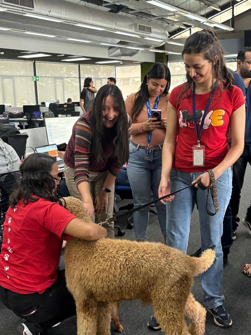 Voluntaria con golden doodle en empresa
